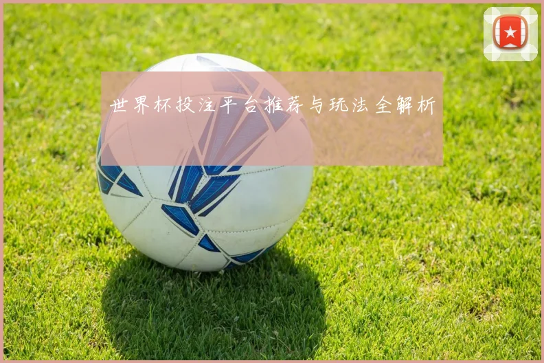 世界杯投注平台推荐与玩法全解析