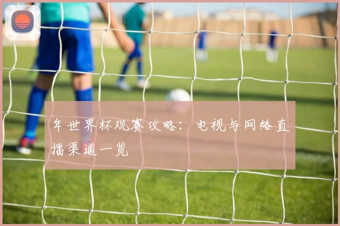 年世界杯观赛攻略：电视与网络直播渠道一览