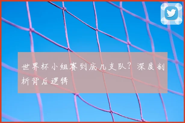 世界杯小组赛到底几支队?深度剖析背后逻辑