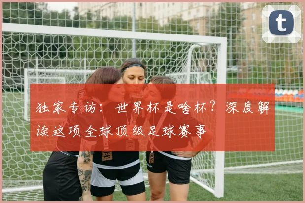 独家专访：世界杯是啥杯？深度解读这项全球顶级足球赛事