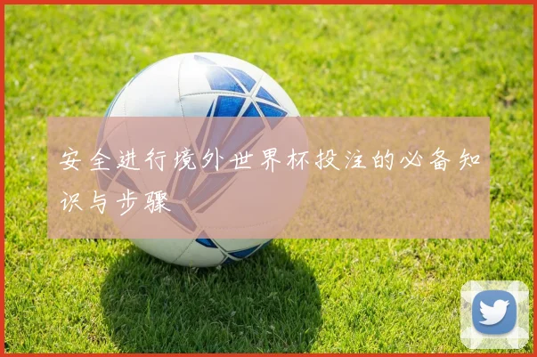 安全进行境外世界杯投注的必备知识与步骤